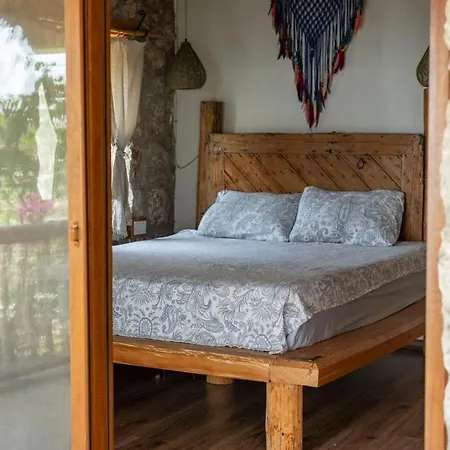 Stone House With Pool Among Olive Trees In Kabak Fethiye