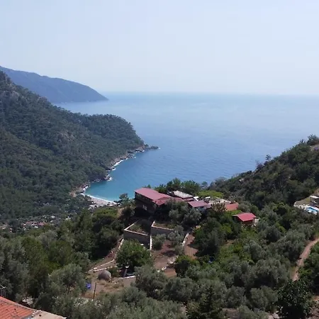 Stone House With Pool Among Olive Trees In Kabak * Fethiye