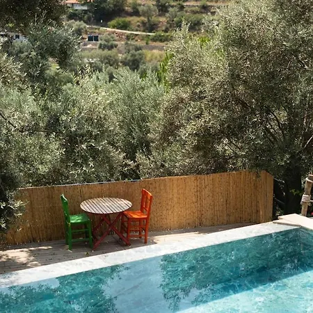 Stone House With Pool Among Olive Trees In Kabak Fethiye