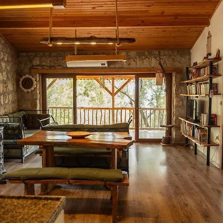 Stone House With Pool Among Olive Trees In Kabak Fethiye