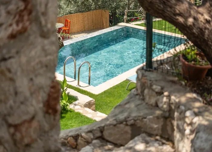 Stone House With Pool Among Olive Trees In Kabak Villa