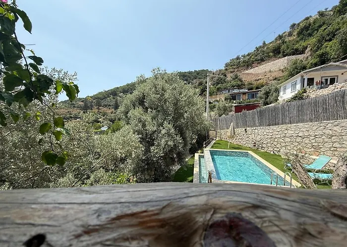 Villa Stone House With Pool Among Olive Trees In Kabak
