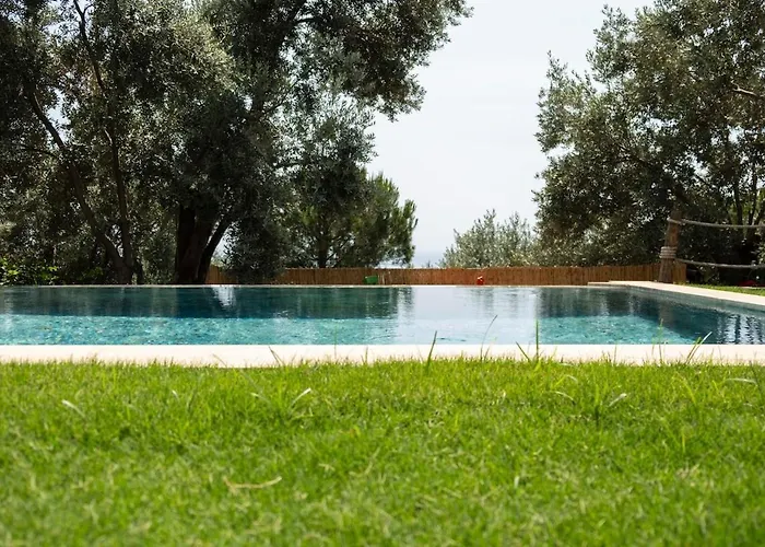 Stone House With Pool Among Olive Trees In Kabak