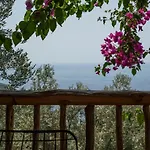 Stone House With Pool Among Olive Trees In Kabak 别墅 *