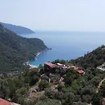 Stone House With Pool Among Olive Trees In Kabak * 费特希耶