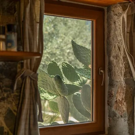 Stone House With Pool Among Olive Trees In Kabak *