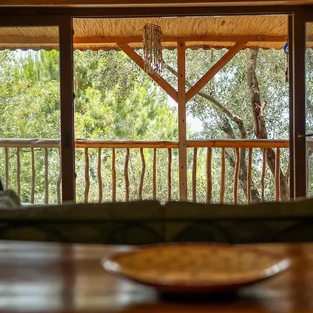 וילה Stone House With Pool Among Olive Trees In Kabak