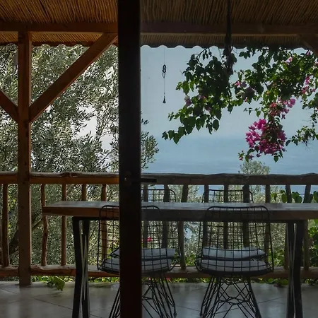 Stone House With Pool Among Olive Trees In Kabak *