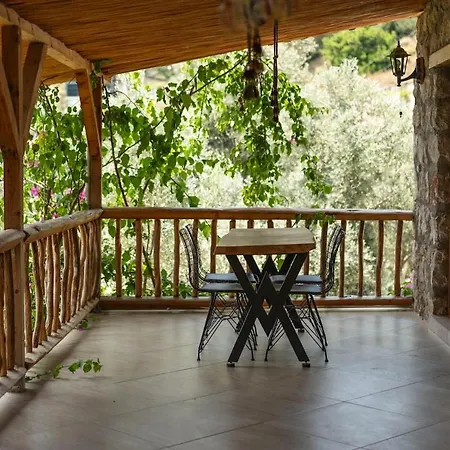 Stone House With Pool Among Olive Trees In Kabak
