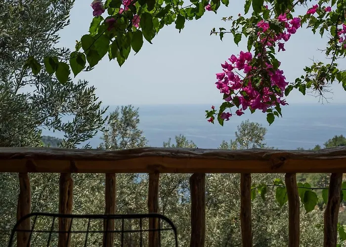 Stone House With Pool Among Olive Trees In Kabak 别墅 *
