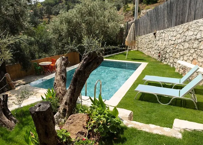 Stone House With Pool Among Olive Trees In Kabak *