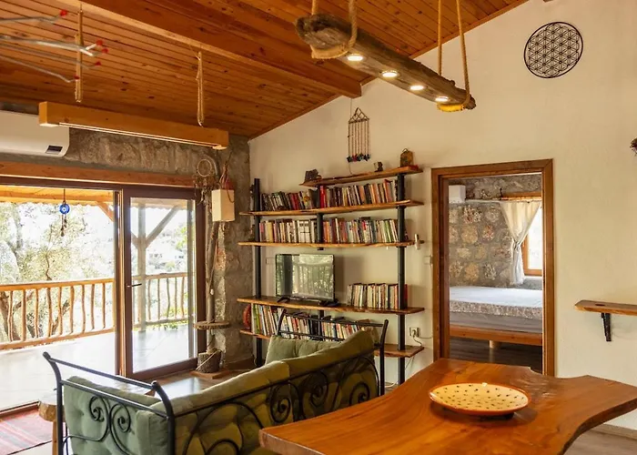 Stone House With Pool Among Olive Trees In Kabak * 费特希耶