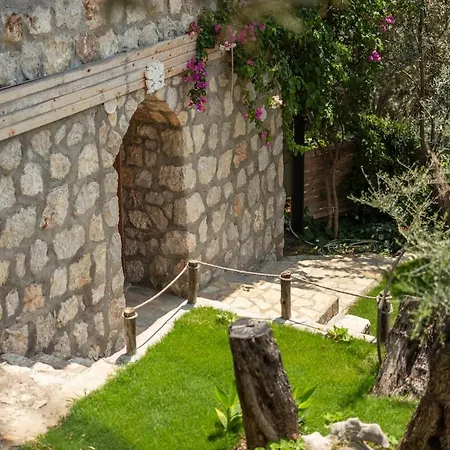 Stone House With Pool Among Olive Trees In Kabak