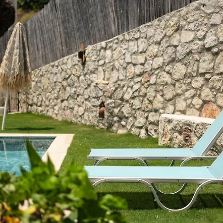 Villa Stone House With Pool Among Olive Trees In Kabak