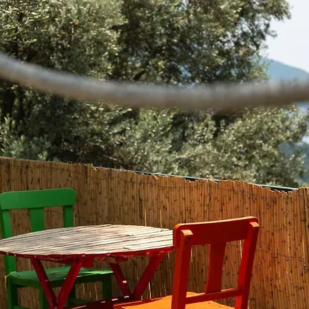 Stone House With Pool Among Olive Trees In Kabak *