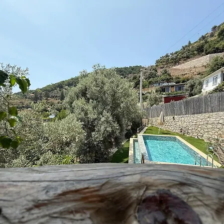 Villa Stone House With Pool Among Olive Trees In Kabak