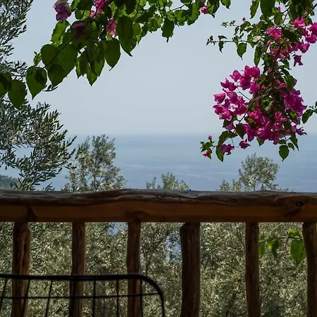 Stone House With Pool Among Olive Trees In Kabak Вилла *