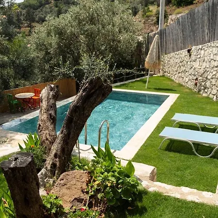 Stone House With Pool Among Olive Trees In Kabak *