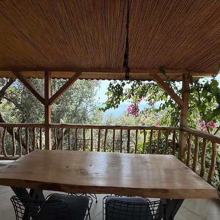 Stone House With Pool Among Olive Trees In Kabak ヴィラ