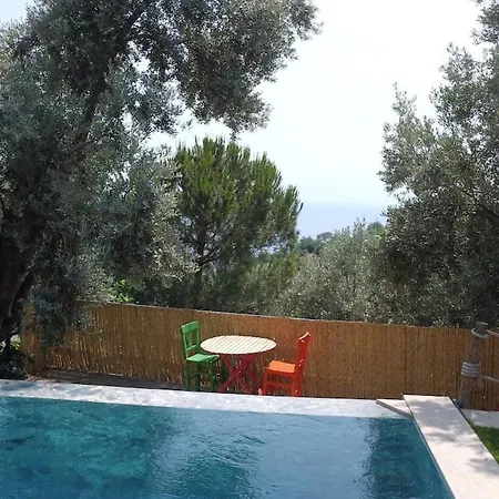 Stone House With Pool Among Olive Trees In Kabak ヴィラ