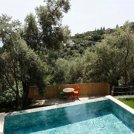 Stone House With Pool Among Olive Trees In Kabak ヴィラ