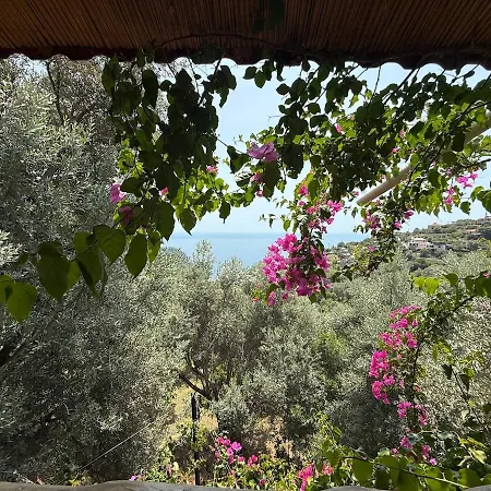 ヴィラ Stone House With Pool Among Olive Trees In Kabak フェティエ