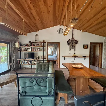 Villa Stone House With Pool Among Olive Trees In Kabak *