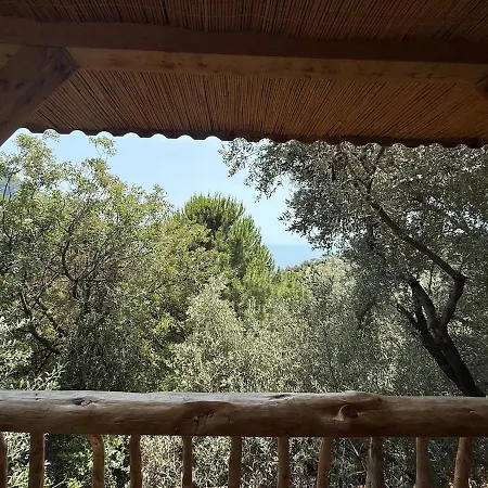 Stone House With Pool Among Olive Trees In Kabak ヴィラ フェティエ