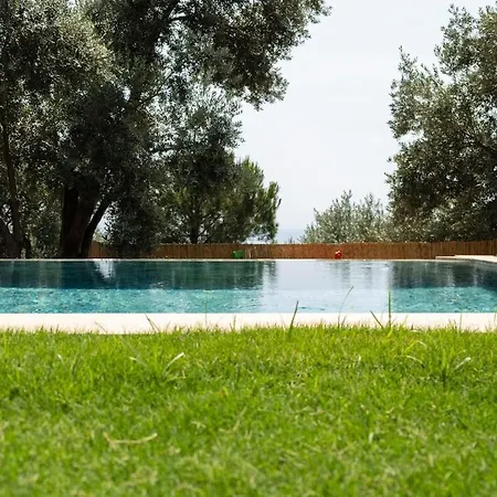 Stone House With Pool Among Olive Trees In Kabak