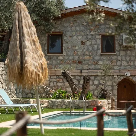 Stone House With Pool Among Olive Trees In Kabak ヴィラ フェティエ