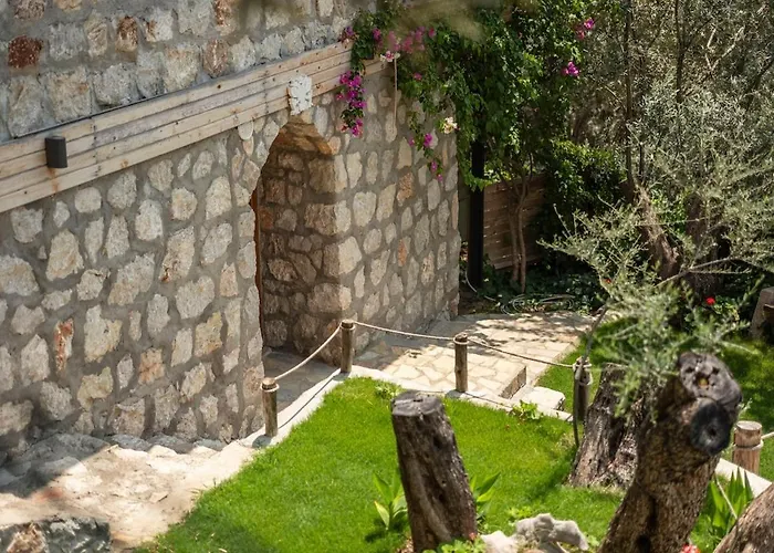Stone House With Pool Among Olive Trees In Kabak