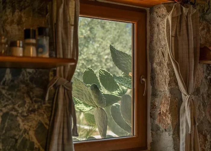 Stone House With Pool Among Olive Trees In Kabak *