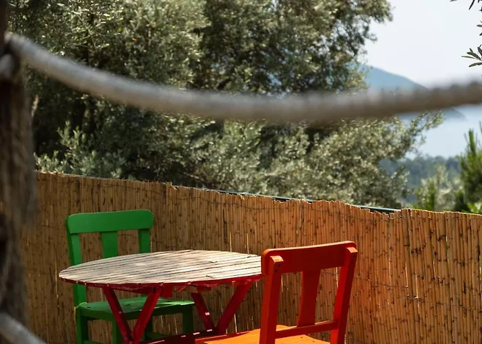 Stone House With Pool Among Olive Trees In Kabak *