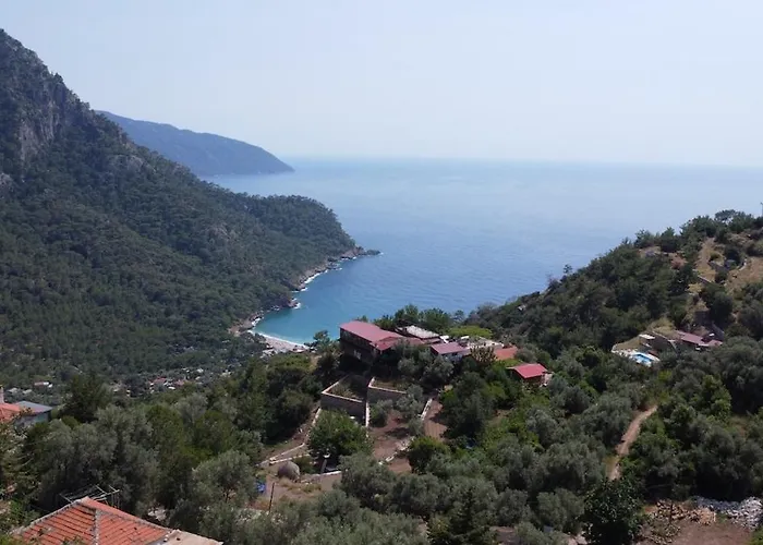 Stone House With Pool Among Olive Trees In Kabak * Fethiye
