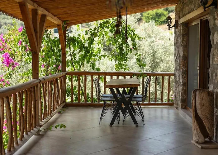 Stone House With Pool Among Olive Trees In Kabak