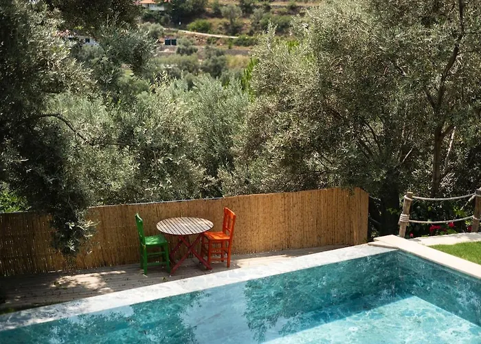 Stone House With Pool Among Olive Trees In Kabak Fethiye
