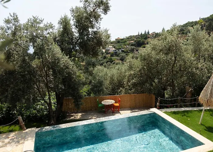 Stone House With Pool Among Olive Trees In Kabak Vila