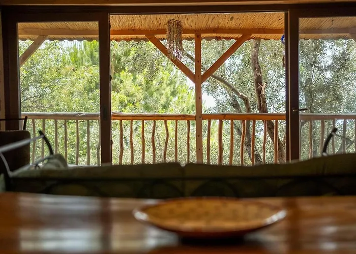 Willa Stone House With Pool Among Olive Trees In Kabak