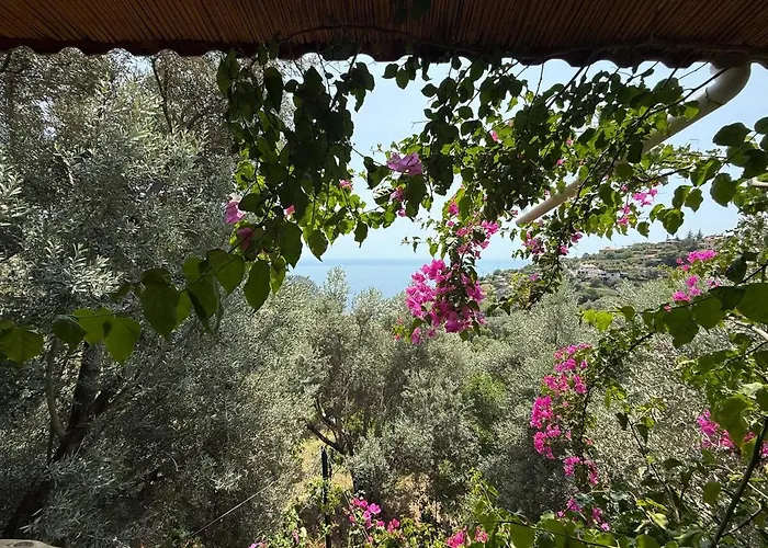Stone House With Pool Among Olive Trees In Kabak