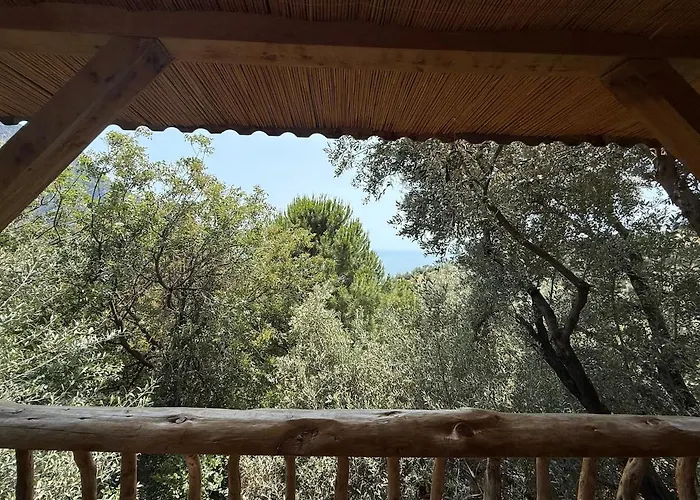 Stone House With Pool Among Olive Trees In Kabak Willa Fethiye